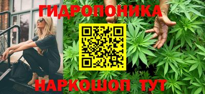 крисы Тверь