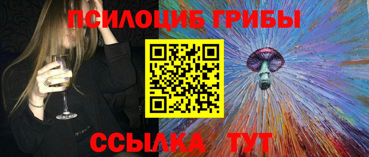 купить наркоту  Псилоцибиновые грибы Psilocybe  Вход с VPN  Нальчик 