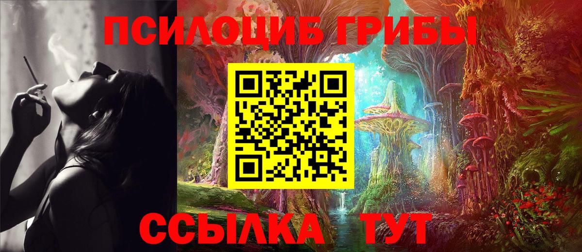 Галлюциногенные грибы мухоморы Нальчик